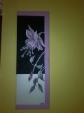 Fuchsie